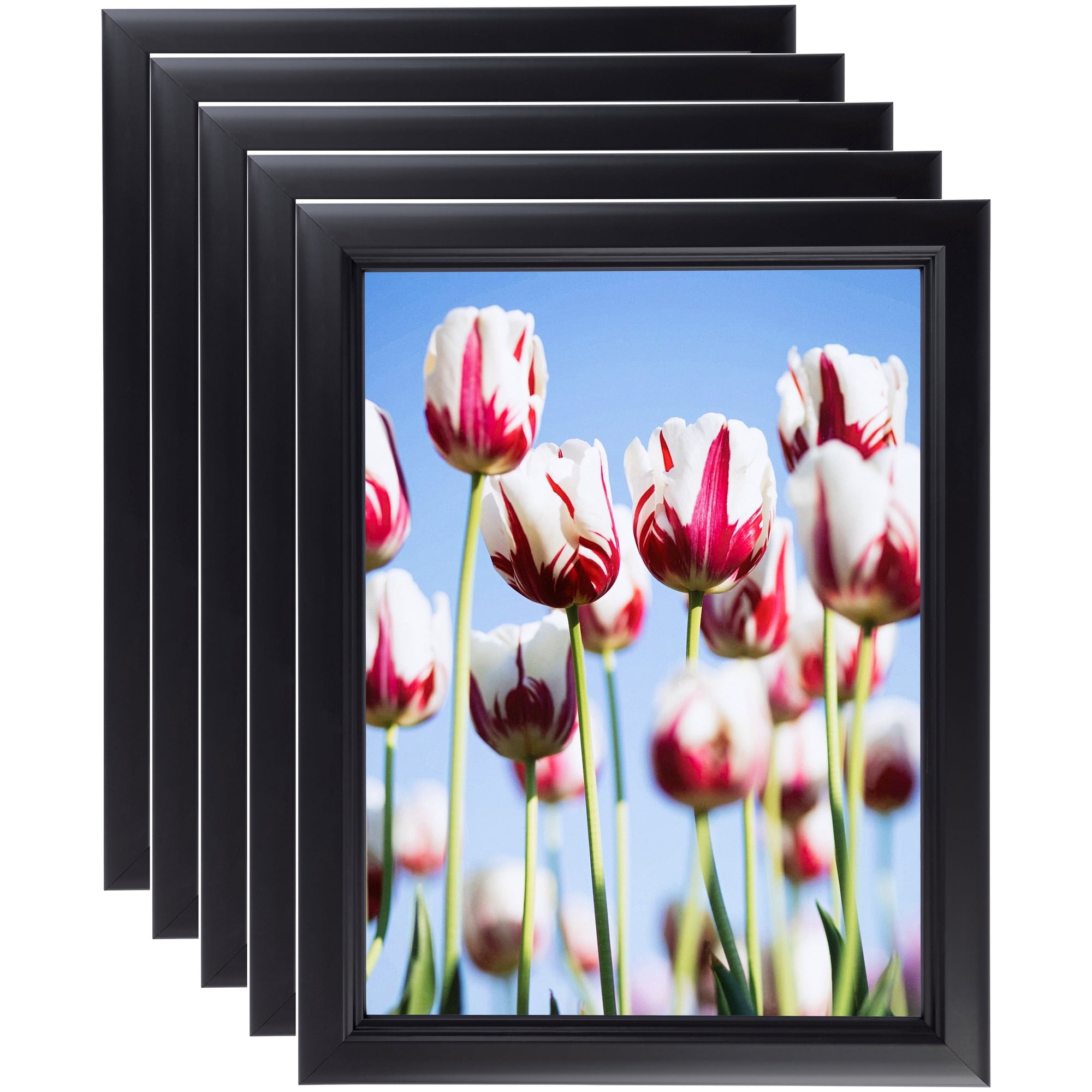 ArtToFrames 24