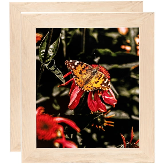 ArtToFrames 24" x 30" Clear Stain Picture Frame, 24x30 inch White Wood Poster Frame (WOM-4290), 2 Pack