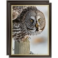 thumbnail image 1 of ArtToFrames 24" x 30" Mahogany and Gold Slope Picture Frame, 24x30 inch Brown MDF Poster Frame (WOM-4447), 2 Pack, 1 of 8