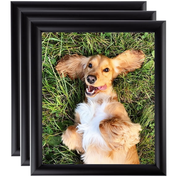 ArtToFrames 24" x 30" Satin Black Bull Nose Picture Frame, 24x30 inch Black Wood Poster Frame (WOM-1417), 3 Pack