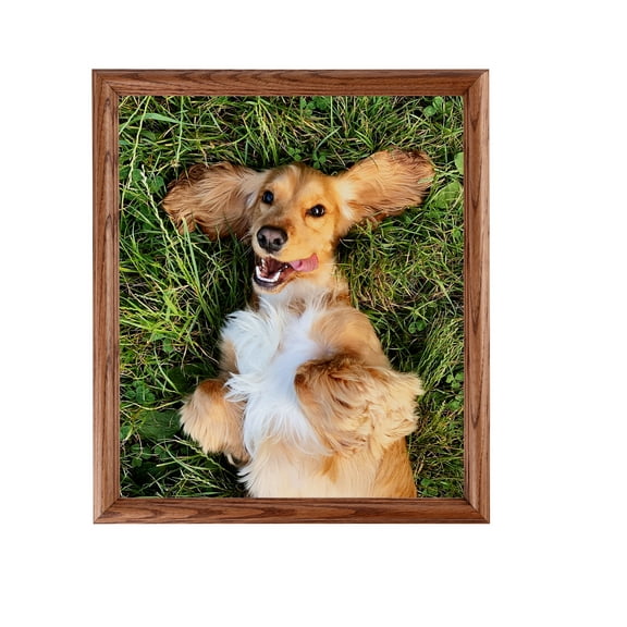 ArtToFrames 24" x 36" Honey Oak Picture Frame, 24x36 inch Brown Wood Poster Frame (WOM-4380), 1 Pack