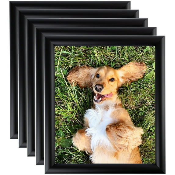 ArtToFrames 24" x 36" Satin Black Bull Nose Picture Frame, 24x36 inch Black Wood Poster Frame (WOM-1417), 5 Pack
