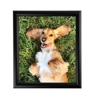 ArtToFrames 24" x 36" Satin Black Bull Nose Picture Frame, 24x36 inch Black Wood Poster Frame (WOM-1417), 1 Pack