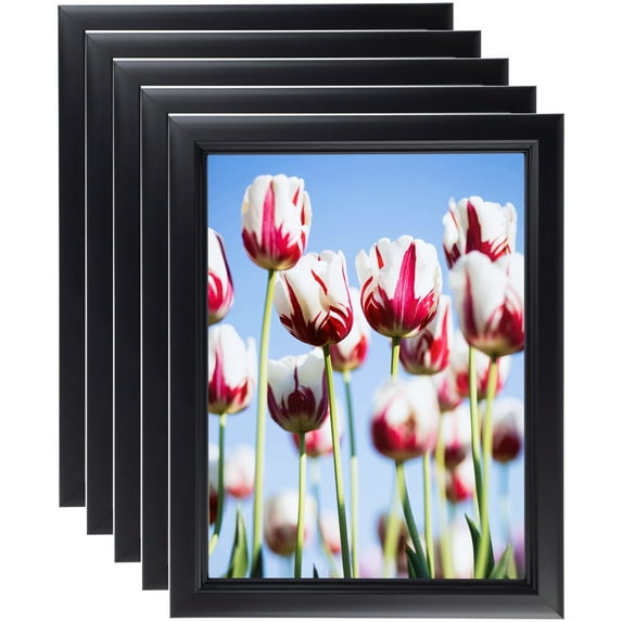 ArtToFrames 24" x 36" Satin Black Double Step Lip Picture Frame, 24x36 inch Black Wood Poster Frame (WOM-1418), 5 Pack