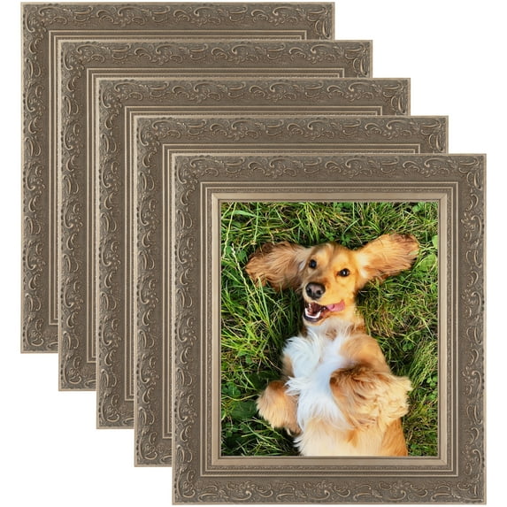 ArtToFrames 4" x 24" Majestic Silver Picture Frame, 4x24 inch Gold Wood Poster Frame (WOM-5121), 5 Pack
