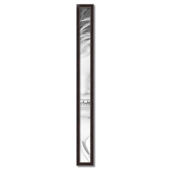 ArtToFrames 4" x 53" Other Picture Frame, 4x53 inch Multi Wood Poster Frame (WOM-5024)