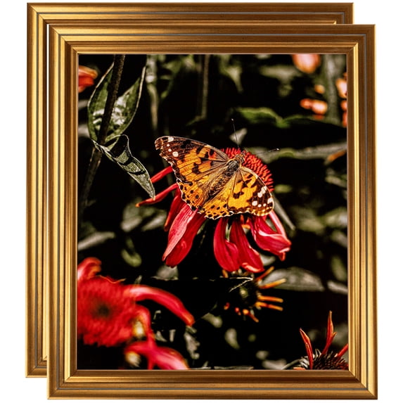 ArtToFrames 4" x 6" Gold Step Picture Frame, 4x6 inch Gold Wood Poster Frame (WOM-4548), 2 Pack