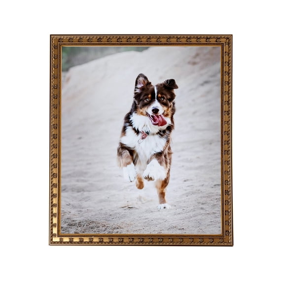 ArtToFrames 4" x 6" Gold with Star Picture Frame, 4x6 inch Gold Wood Poster Frame (WOM-4755), 1 Pack