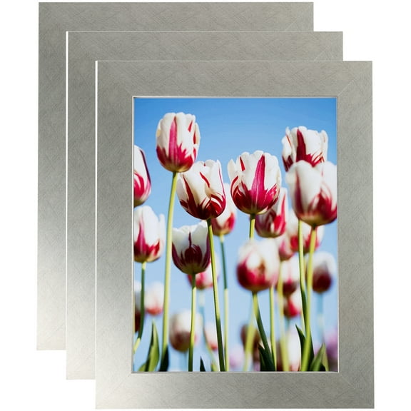 ArtToFrames 4" x 6" Metallic Deco Silver Picture Frame, 4x6 inch Silver MDF Poster Frame (WOM-4501), 3 Pack
