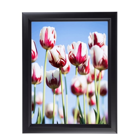 ArtToFrames 4" x 6" Satin Black Double Step Lip Picture Frame, 4x6 inch Black Wood Poster Frame (WOM-1418), 1 Pack