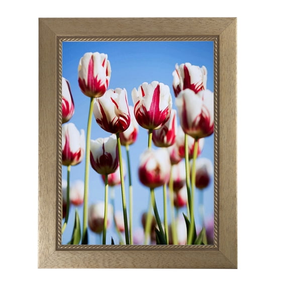 ArtToFrames 4x24" Metallic Gold with Ornate Detail Picture Frame, Gold Wood Poster Frame, with Regular Acrylic and 2 (FBPL-4576)