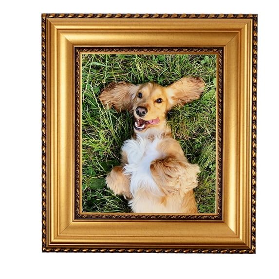 ArtToFrames 4x35" Other Picture Frame, Multi Wood Poster Frame, with Regular Acrylic and 2 (FBPL-5167)