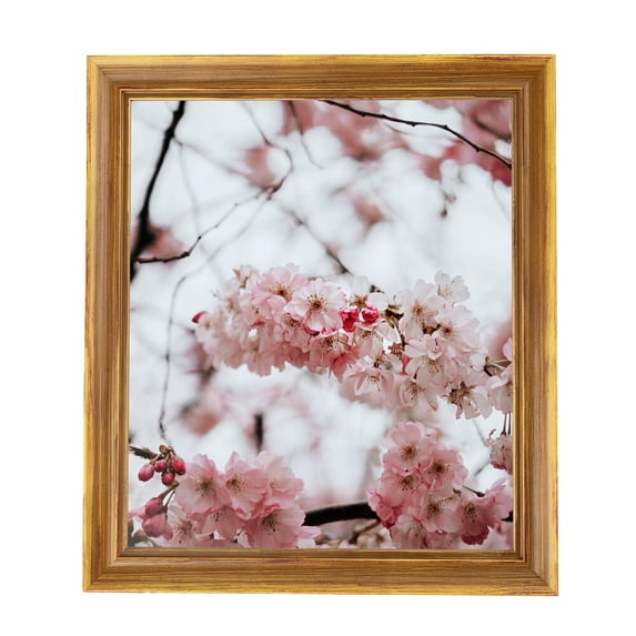 ArtToFrames 4x6" Other Picture Frame, Multi Wood Poster Frame, with Regular Glass and 2 (FBPL-4948)