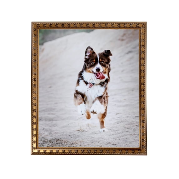ArtToFrames 4x9" Gold with Star Picture Frame, Gold Wood Poster Frame, with Regular Glass and 2 (FBPL-4755)