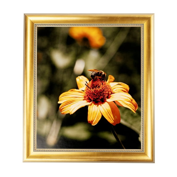 ArtToFrames 4x9" Other Picture Frame, Multi Wood Poster Frame, with Regular Glass and 2 (FBPL-5022)