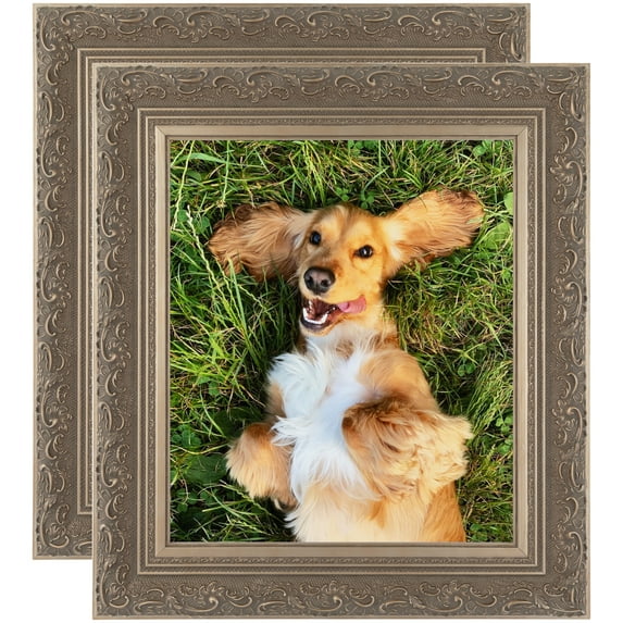 ArtToFrames 5" x 10" Majestic Silver Picture Frame, 5x10 inch Gold Wood Poster Frame (WOM-5121), 2 Pack