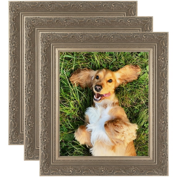 ArtToFrames 5" x 15" Majestic Silver Picture Frame, 5x15 inch Gold Wood Poster Frame (WOM-5121), 3 Pack