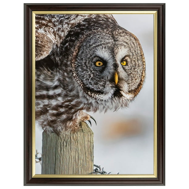 ArtToFrames 5" x 5" Mahogany and Gold Slope Picture Frame, 5x5 inch Brown MDF Poster Frame (WOM-4447), 1 Pack