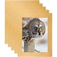 thumbnail image 1 of ArtToFrames 5" x 5" Metallic Gold Picture Frame, 5x5 inch Gold MDF Poster Frame (WOM-4500), 5 Pack, 1 of 8