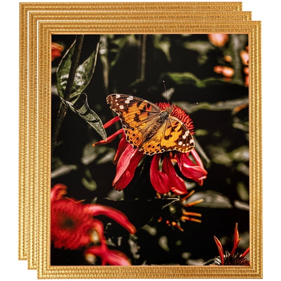 ArtToFrames 5" x 7" Bright Gold Picture Frame, 5x7 inch Gold Wood Poster Frame (WOM-4753), 3 Pack