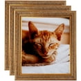 thumbnail image 1 of ArtToFrames 5" x 7" Gold with Green Tones Picture Frame, 5x7 inch Gold Wood Poster Frame (WOM-5079), 3 Pack, 1 of 6