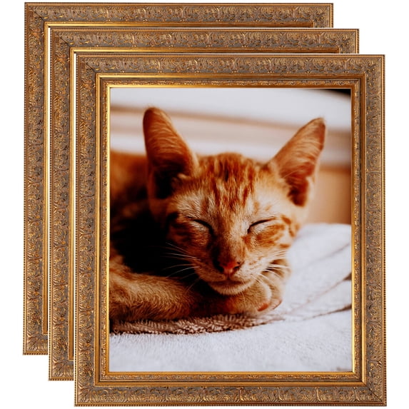 ArtToFrames 5" x 7" Gold with Green Tones Picture Frame, 5x7 inch Gold Wood Poster Frame (WOM-5079), 3 Pack