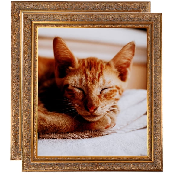 ArtToFrames 5" x 7" Gold with Green Tones Picture Frame, 5x7 inch Gold Wood Poster Frame (WOM-5079), 2 Pack