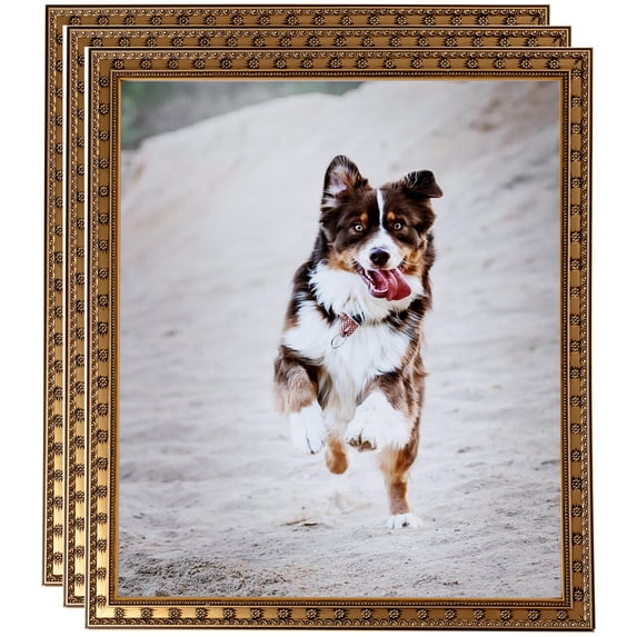 ArtToFrames 5" x 7" Gold with Star Picture Frame, 5x7 inch Gold Wood Poster Frame (WOM-4755), 3 Pack