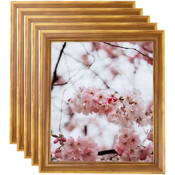 ArtToFrames 5" x 7" Other Picture Frame, 5x7 inch Multi Wood Poster Frame (WOM-4948), 5 Pack