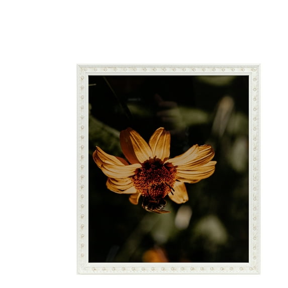 ArtToFrames 5" x 7" White Square Star Emboss Picture Frame, 5x7 inch White Wood Poster Frame (WOM-5125), 4 Pack