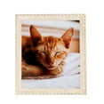thumbnail image 1 of ArtToFrames 5" x 7" White Wash Picture Frame, 5x7 inch White Wood Poster Frame (WOM-4906), 1 Pack, 1 of 6