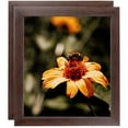 thumbnail image 1 of ArtToFrames 5" x 7" Wooden Finish Mahogany Picture Frame, 5x7 inch Brown Wood Poster Frame (WOM-4958), 2 Pack, 1 of 7