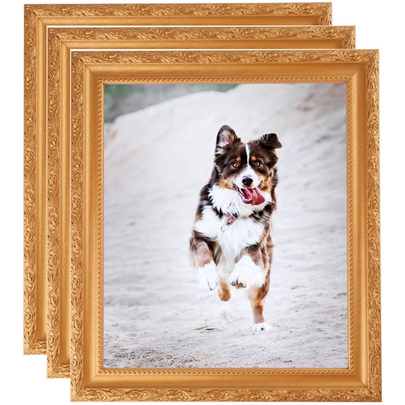 ArtToFrames 5" x 8" Bright Gold Picture Frame, 5x8 inch Gold Wood Poster Frame (WOM-4928), 3 Pack