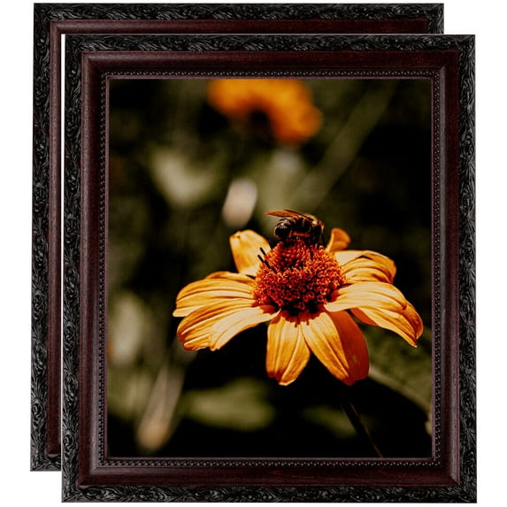 ArtToFrames 5" x 8" Classic Burgundy Picture Frame, 5x8 inch Brown Wood Poster Frame (WOM-4927), 2 Pack