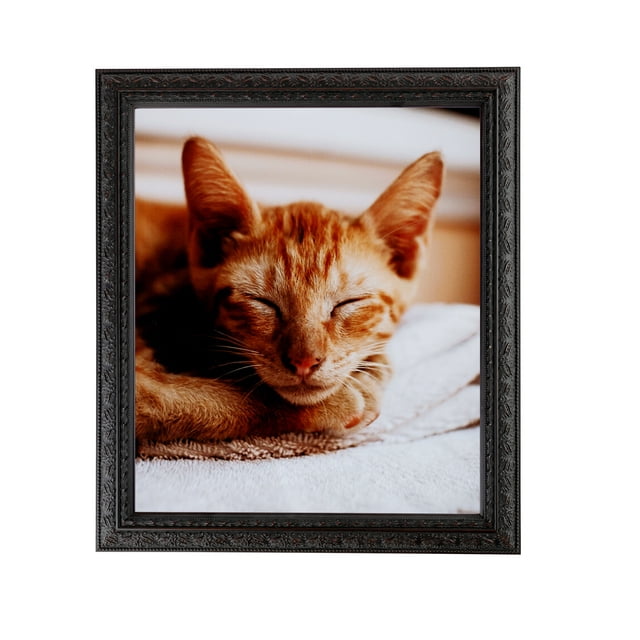 ArtToFrames 5x6" Plum Victorian Emboss Picture Frame, Brown Wood Poster Frame, with Regular Glass and Foam Backing 3/16 inch (FBPL-5080)