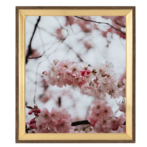 ArtToFrames 5x9" Gold And Stained Brown Picture Frame, Gold Wood Poster Frame, with Regular Glass and 2 (FBPL-4766)