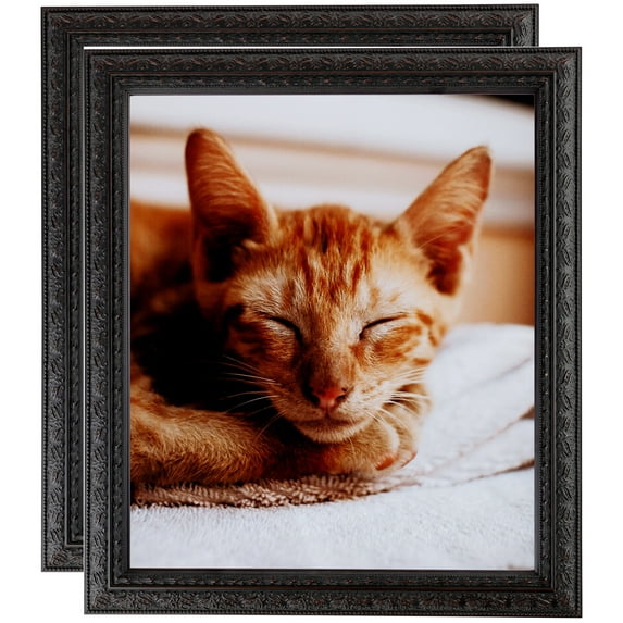 ArtToFrames 6" x 21" Plum Victorian Emboss Picture Frame, 6x21 inch Brown Wood Poster Frame (WOM-5080), 2 Pack