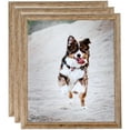 thumbnail image 1 of ArtToFrames 6" x 8" Brown Picture Frame, 6x8 inch Brown Wood Poster Frame (WOM-4717), 3 Pack, 1 of 7
