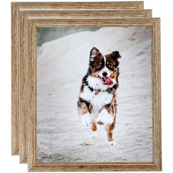 ArtToFrames 6" x 8" Brown Picture Frame, 6x8 inch Brown Wood Poster Frame (WOM-4717), 3 Pack