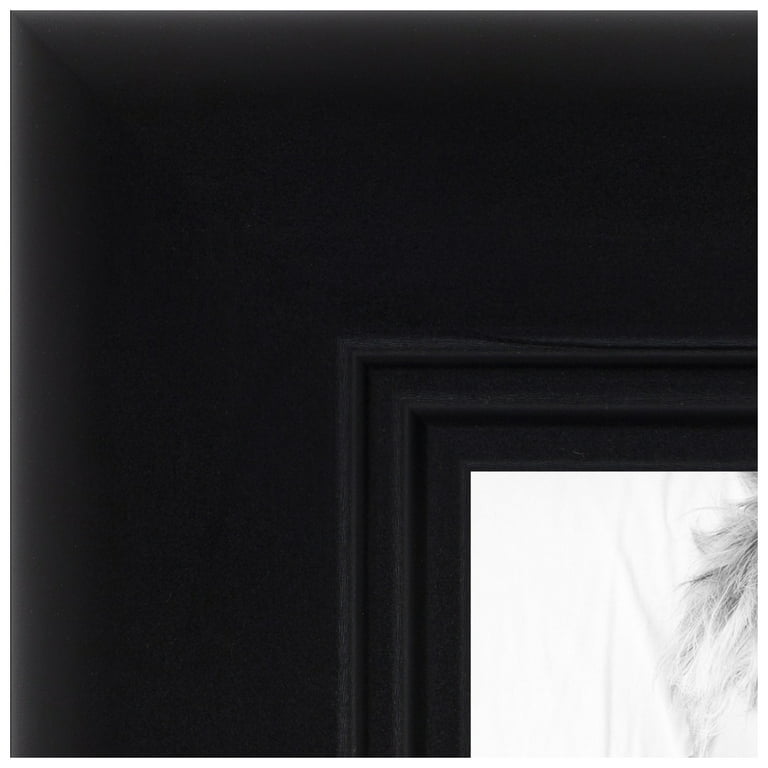 https://i5.walmartimages.com/seo/ArtToFrames-6x10-inch-Satin-Black-Double-Step-Lip-Picture-Frame-Black-Wood-Poster-Frame-1418_5f18a28e-fb7b-47d0-97fa-fca5a9567875.6b906d543ef024088d17ca6dbf56b8f0.jpeg?odnHeight=768&odnWidth=768&odnBg=FFFFFF