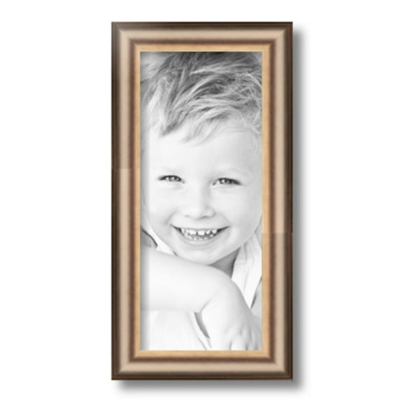 ArtToFrames 6x14" Anique Silver Picture Frame, Silver Wood Poster Frame, with Regular Glass and 2 (FBPL-4964)