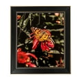 thumbnail image 1 of ArtToFrames 7x10" Honors Black with Gold Picture Frame, Black Wood Poster Frame, with Regular Glass and 2 (FBPL-5158), 1 of 7