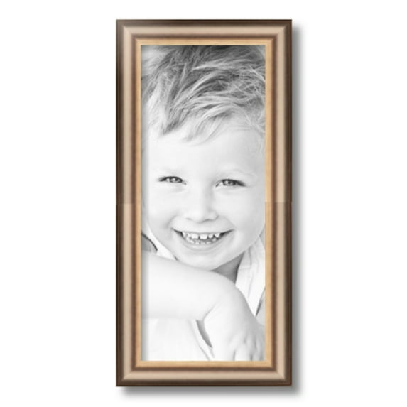 ArtToFrames 7x17" Anique Silver Picture Frame, Silver Wood Poster Frame, with Regular Glass and 2 (FBPL-4964)