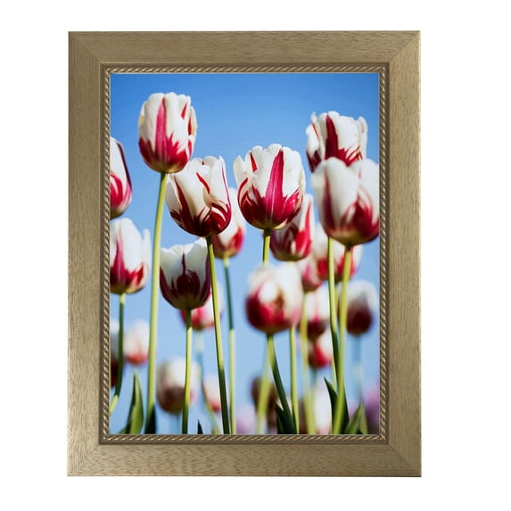 ArtToFrames 7x34" Metallic Gold with Ornate Detail Picture Frame, Gold Wood Poster Frame, with Regular Acrylic and 2 (FBPL-4576)