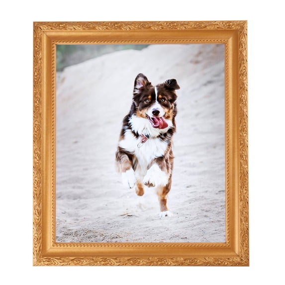 ArtToFrames 8" x 10" Bright Gold Picture Frame, 8x10 inch Gold Wood Poster Frame (WOM-4928), 1 Pack