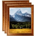 thumbnail image 1 of ArtToFrames 8" x 10" Gold Panel Picture Frame, 8x10 inch Multi Wood Poster Frame (WOM-5091), 3 Pack, 1 of 6