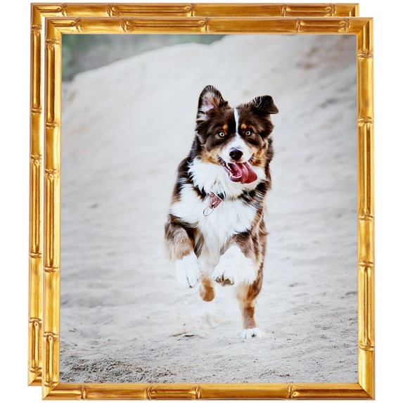 ArtToFrames 8" x 11" .75 Picture Frame, 8.5x11 inch Gold Wood Poster Frame (WOM-4875), 2 Pack