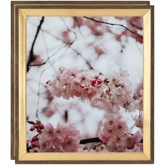 ArtToFrames 8" x 11" Gold And Stained Brown Picture Frame, 8.5x11 inch Gold Wood Poster Frame (WOM-4766), 2 Pack