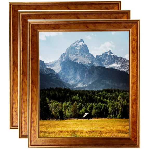 ArtToFrames 8" x 11" Gold Panel Picture Frame, 8.5x11 inch Multi Wood Poster Frame (WOM-5091), 3 Pack