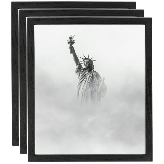 ArtToFrames 8" x 12" Black Picture Frame, 8x12 inch Black Wood Poster Frame (WOM-4308), 3 Pack